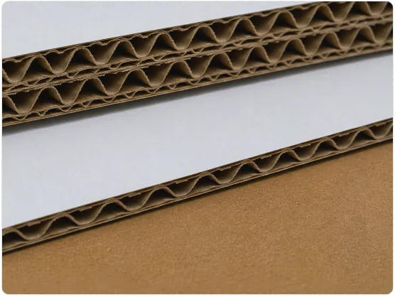 Corrugated Cardboard